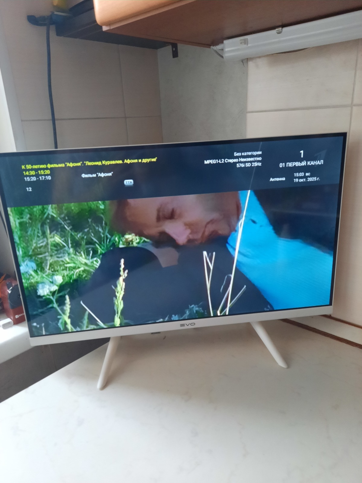 Как пенсионерка телевизор EVO TV 24 подключала