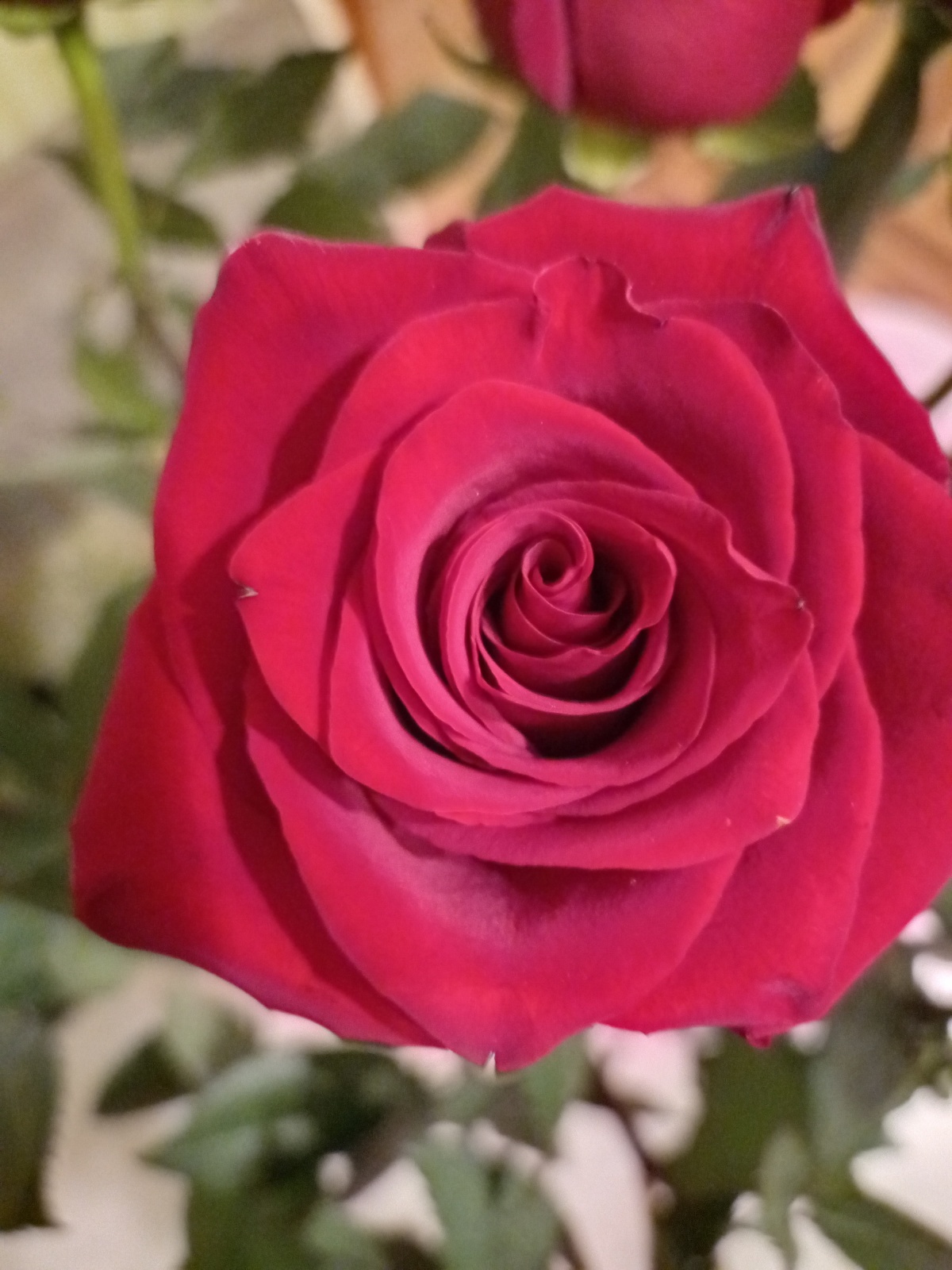 Как понять "привык" или "люблю"?