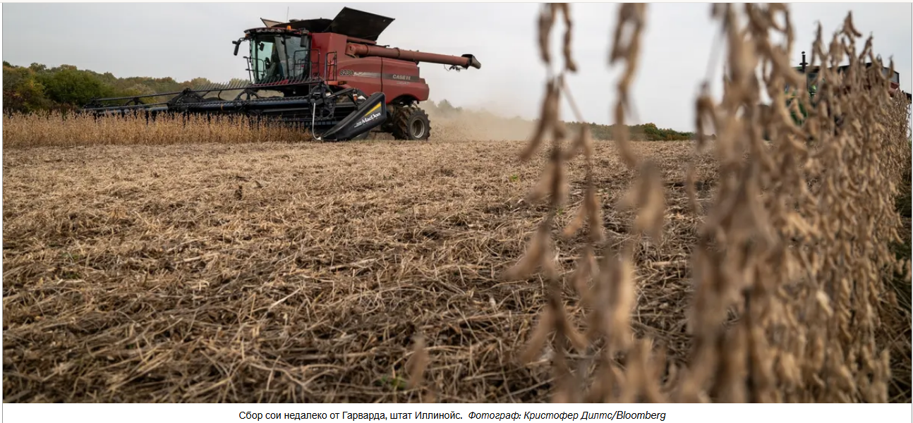 Ссора Китая с Трампом из-за сои оставила американских фермеров с огромным урожаем и малым количеством покупателей