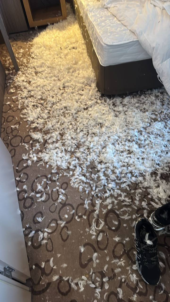 За ночь в перьях: почему Сергей Пенкин проснулся должником на 350 тысяч?