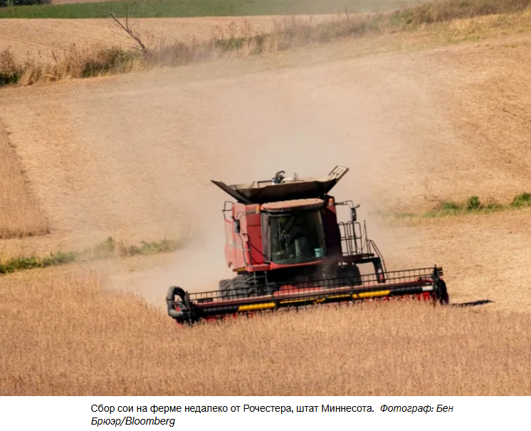 Ссора Китая с Трампом из-за сои оставила американских фермеров с огромным урожаем и малым количеством покупателей