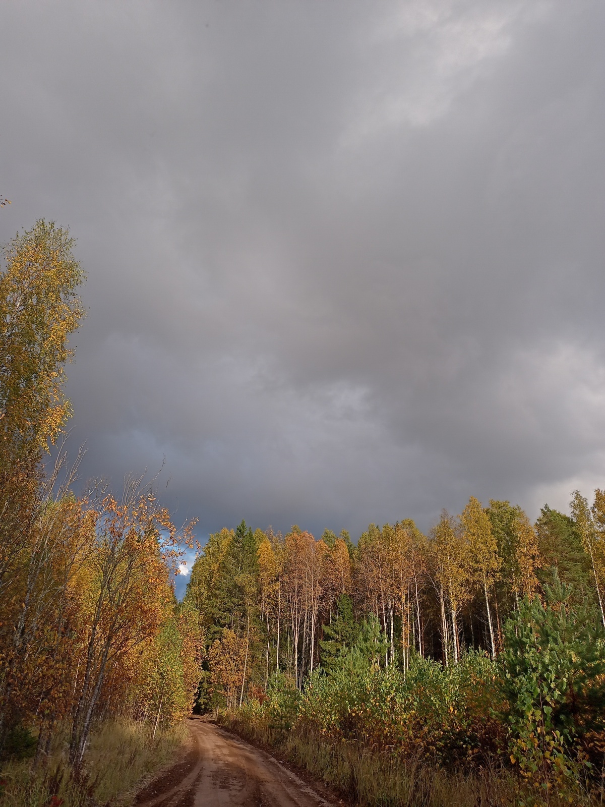 Маленькие риски делают нас смелее