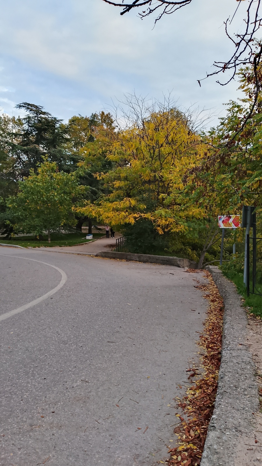 Что я знаю об Орлятах России