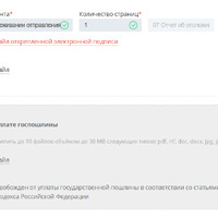 Безым22янный.png