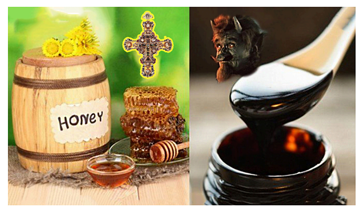 Объективный взгляд из настоящего на современное христианство и православие! Или о ложке дёгтя в бочке мёда...