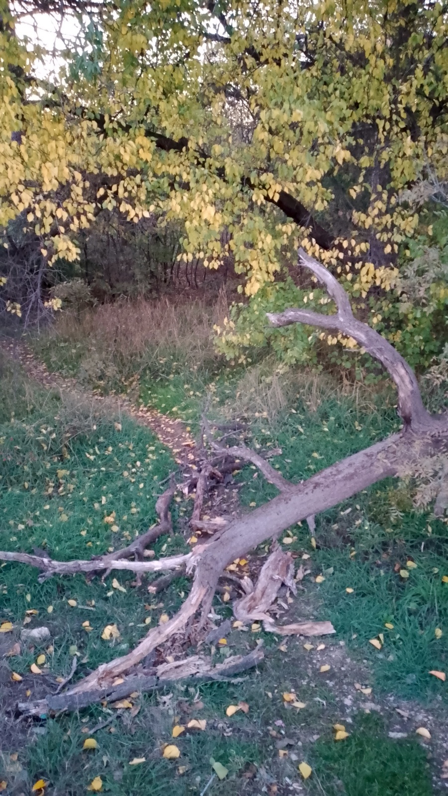 Если брызги из-под колес долетают до прохожих