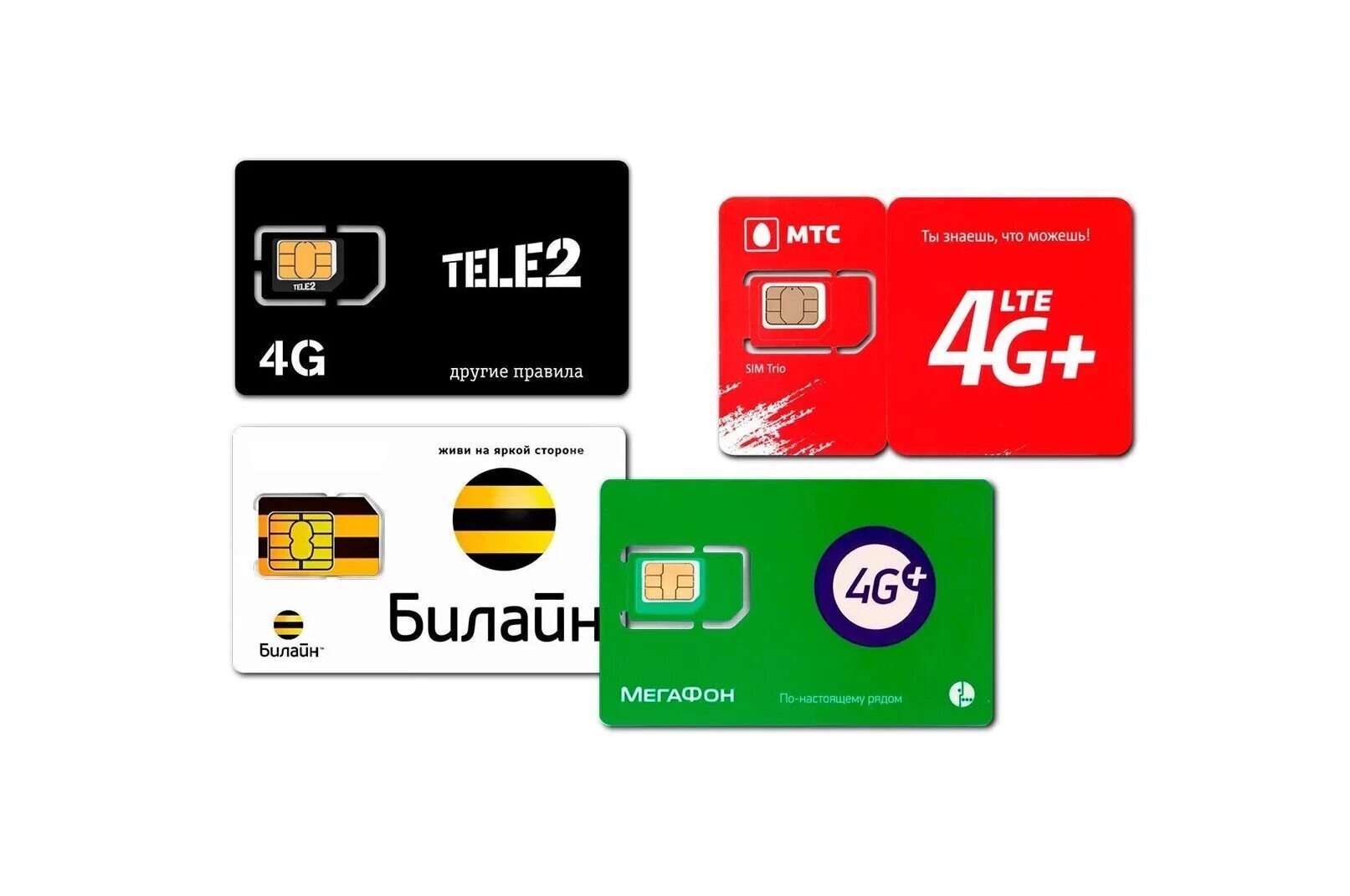 С 1 ноября 2025 года сотовые операторы в России начинают "генеральную уборку" в своих базах данных, отсеивая ненужные сим-карты.