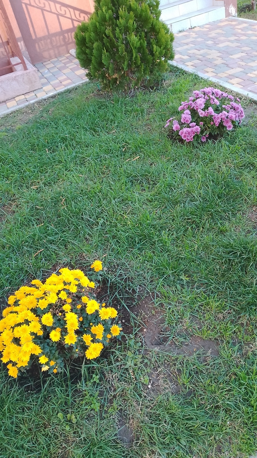 Живым - жить