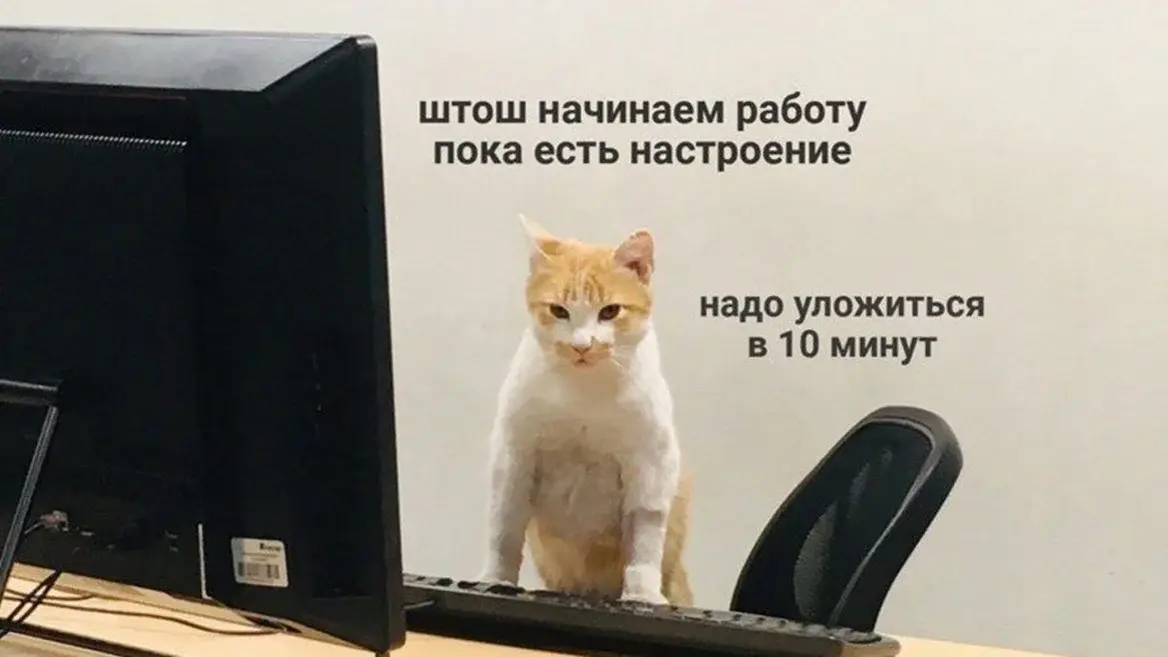 Весёлые картинки про рабочую субботу