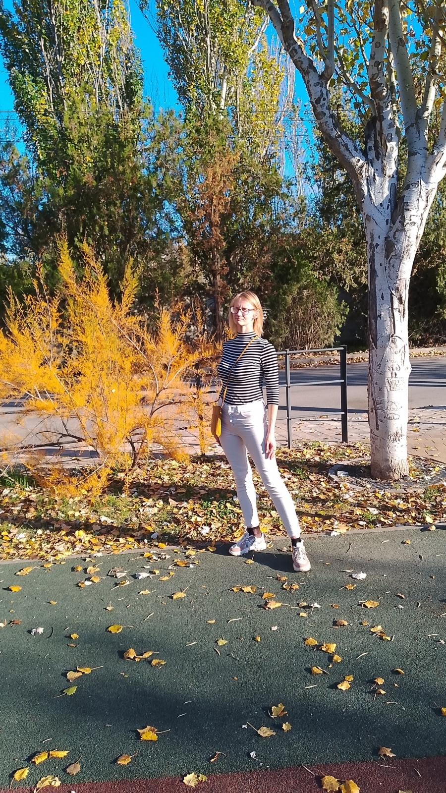 Лебедь в Инкермане