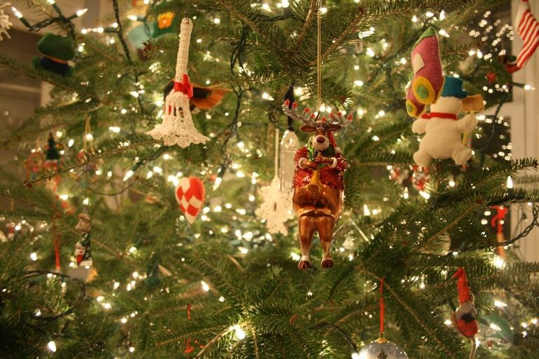 Новый год не за горами: в октябре стартовала всероссийская акция "Экоёлка"