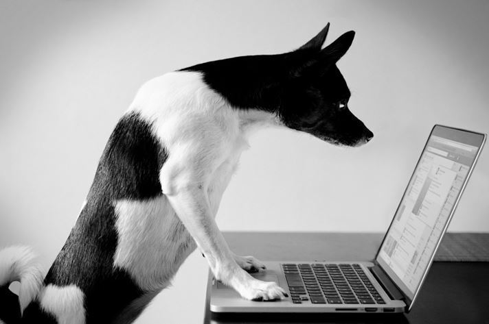 Почему мы верим даже самым абсурдным новостям