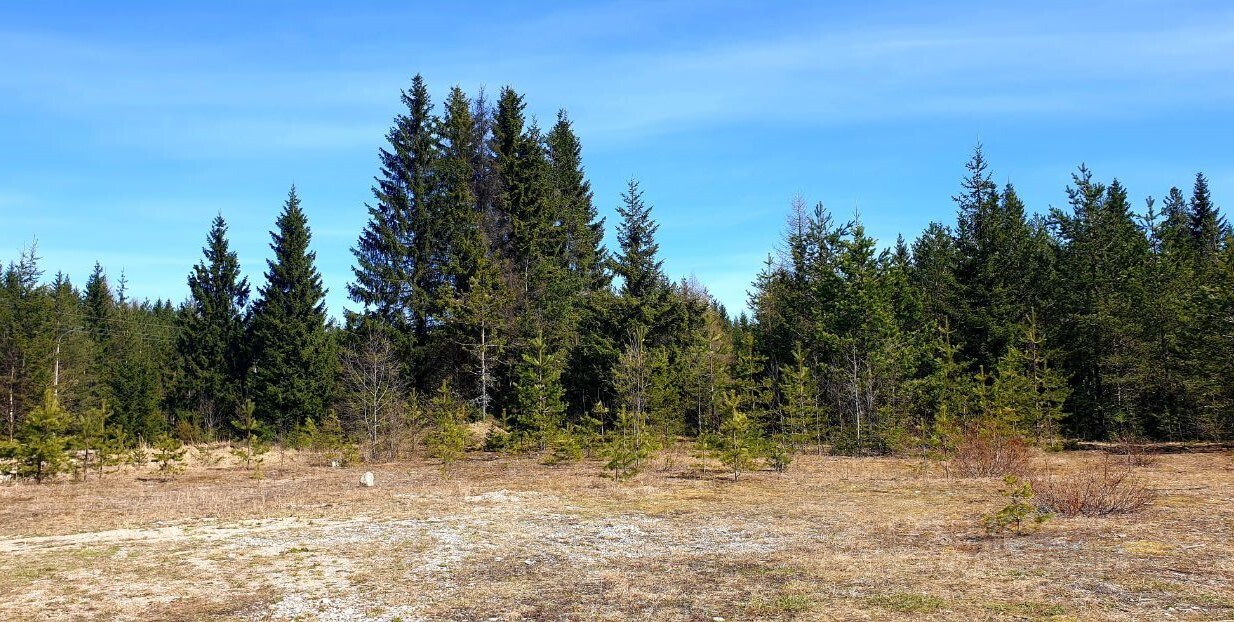 3 важных аспекта при покупке земельного участка: советы эксперта