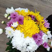 Юля, г. Москва