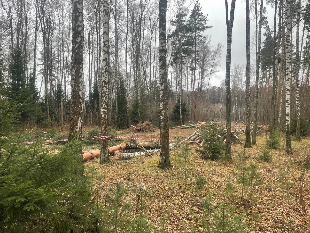 Безумие в заповеднике