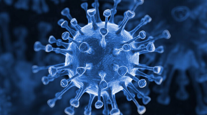 Вирусы + 60! (новички)