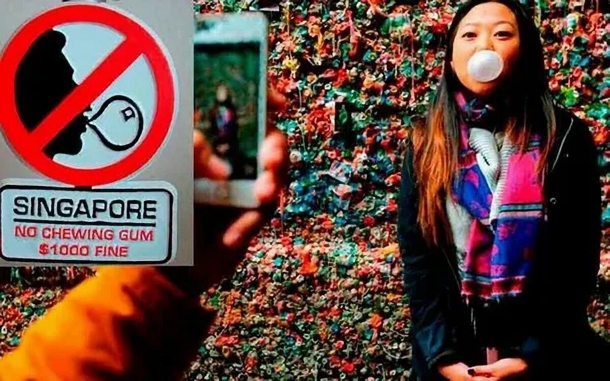 Пять самых нелепых законов мира: когда законотворцы явно переборщили