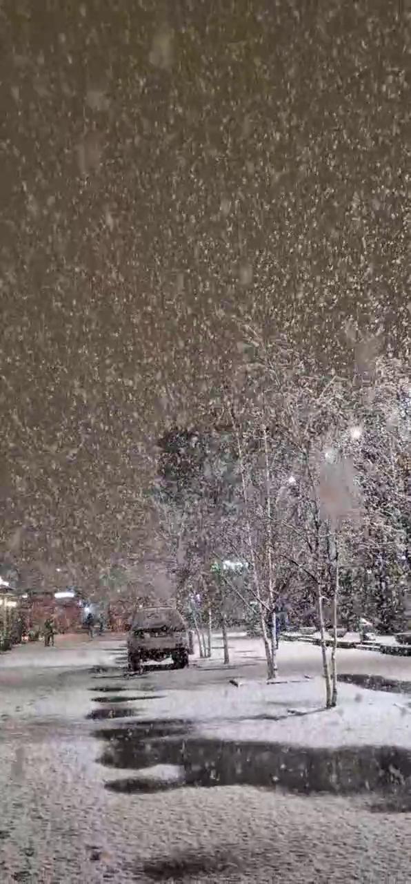 В Питере полнейший джингл-белс