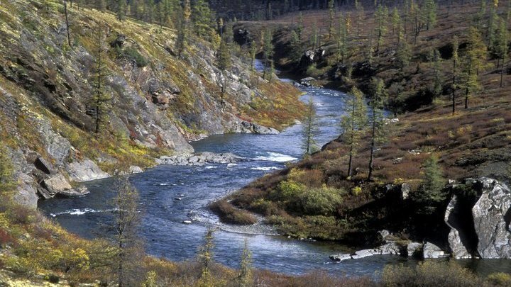 Неужели Обь потечёт в Узбекистан?!.