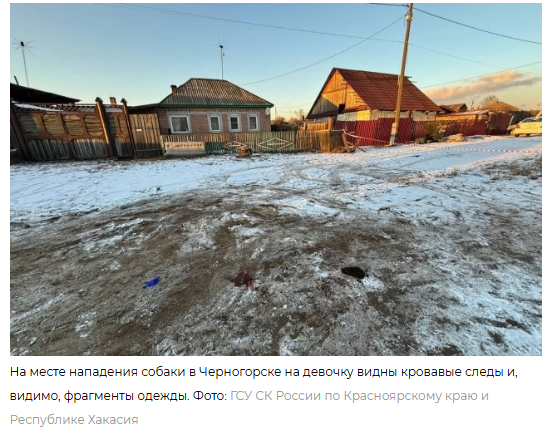 Подросток спас 7-летнюю девочку, которую сильно покусала немецкая овчарка