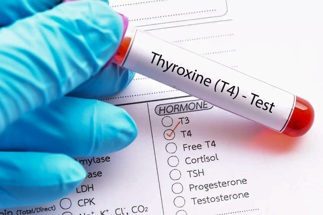Почему важно контролировать гормоны щитовидной железы?