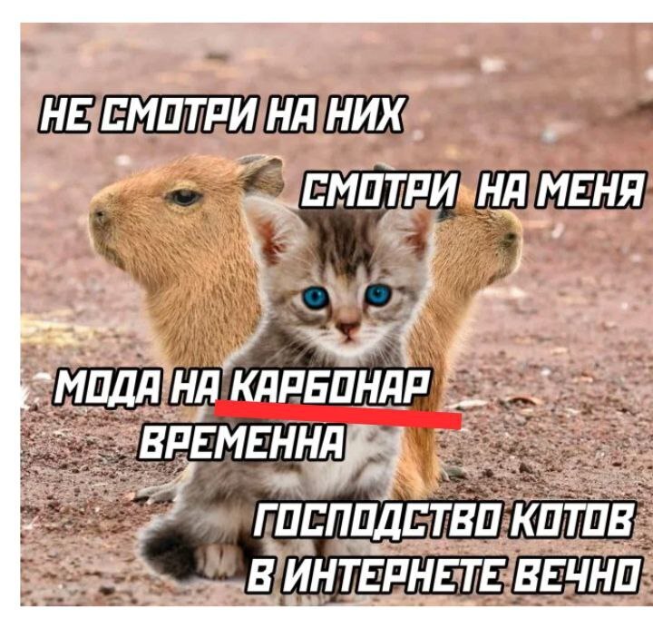 Неужели писать по-русски грамотно так сложно?!