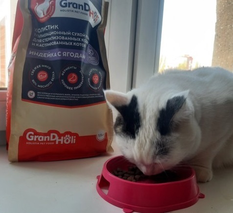 Бесплатные товары за год: что получила для сайта Айрекоменд