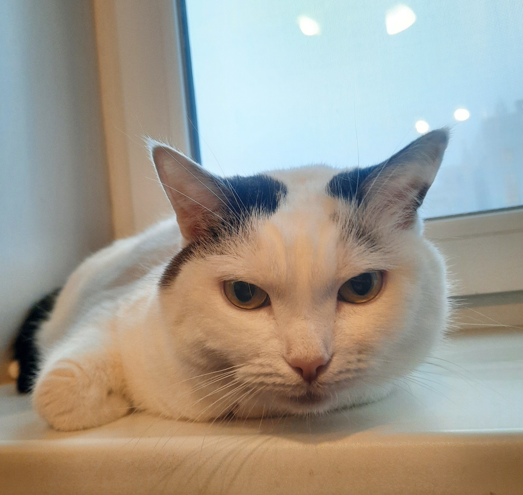 20 дней ноября и мой кешбэк по Альфа карте