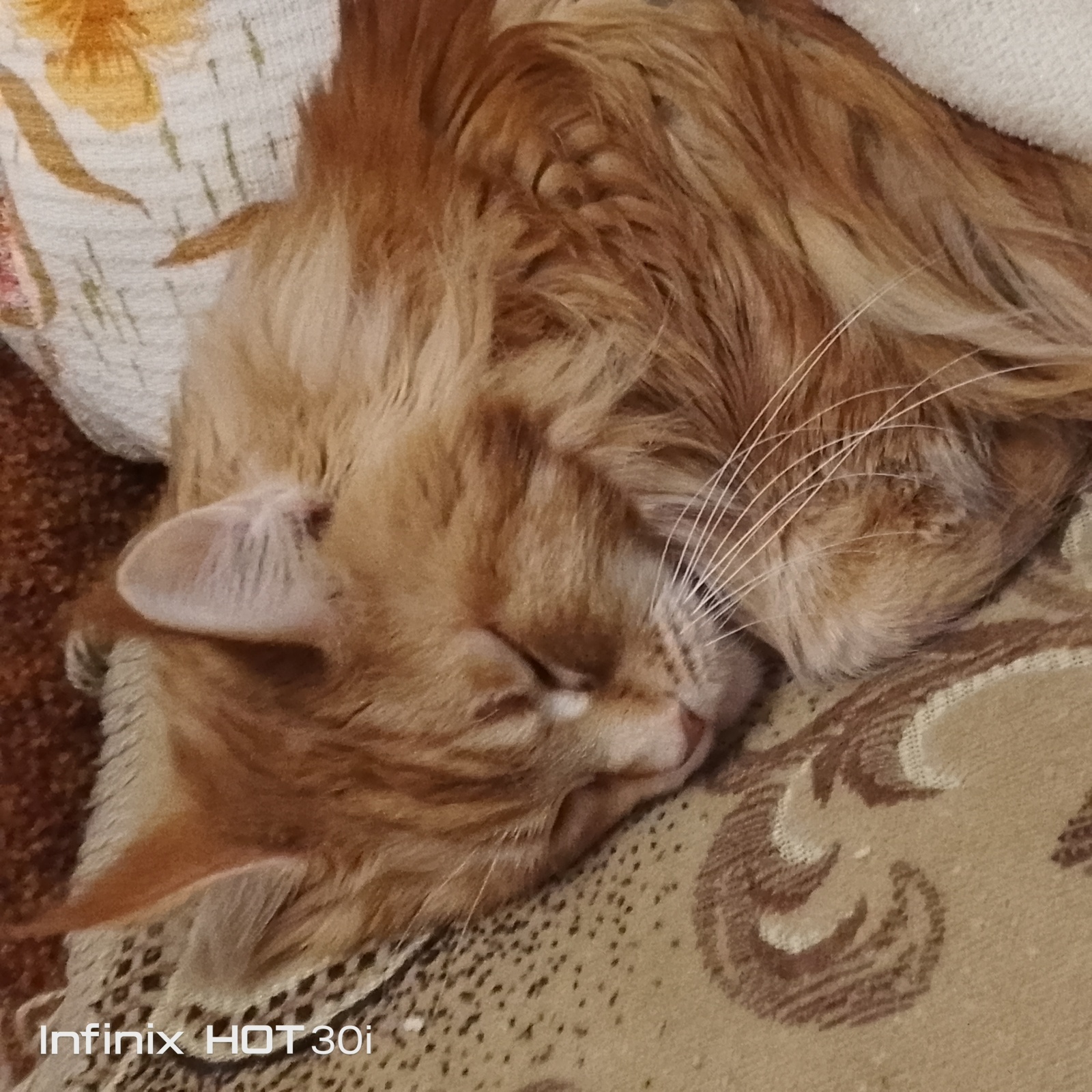 Покупки в Вайлдберриз и Светофоре сегодня, 22 ноября