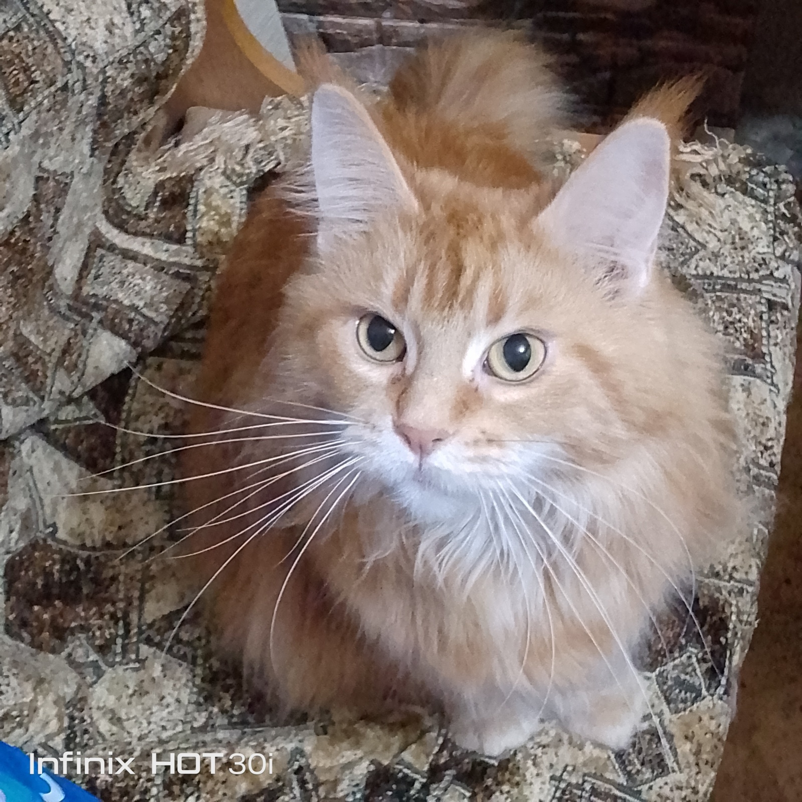 Покупки в Вайлдберриз и Светофоре сегодня, 22 ноября