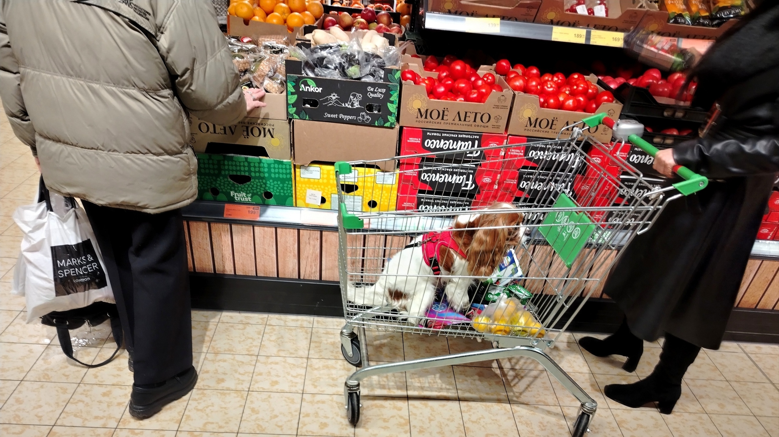 Пять хитростей супермаркетов, из-за которых мы постоянно переплачиваем и покупаем ненужные товары