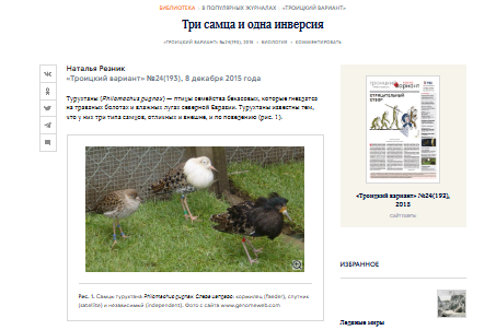 Звёздное сияние Ижоры в Межстоличьи /Статья третья незапланированная /Интермедия.