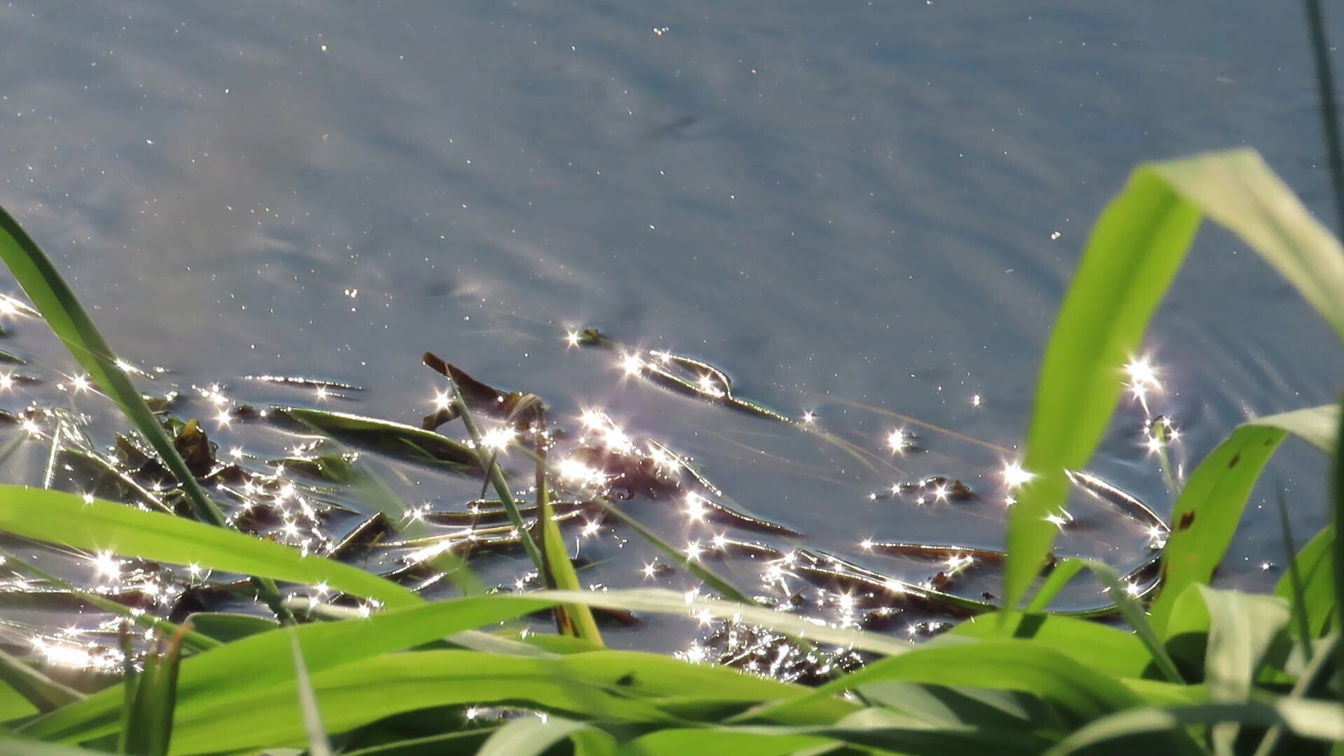 О сказках Межстоличья. / Часть вторая. Дети империи.