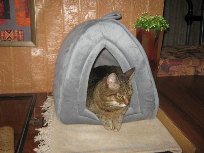 Лукерья, где ты будешь спать послезавтра?