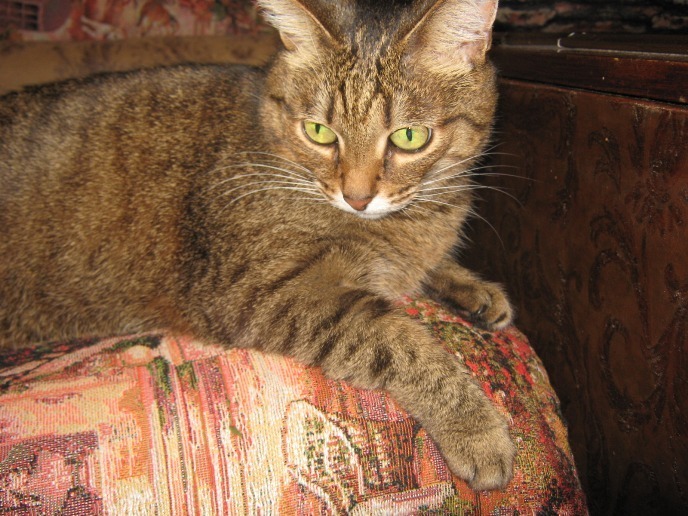 Лукерья, где ты будешь спать послезавтра?