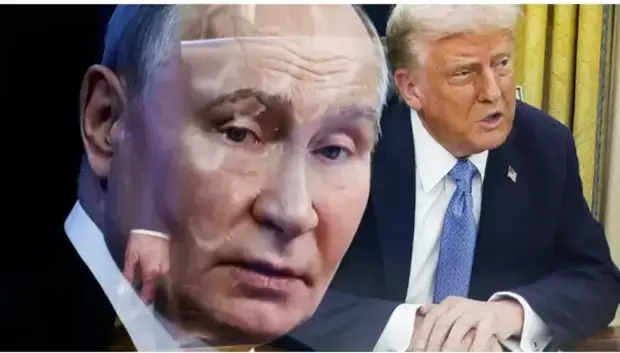 К чему идём мы с «мирным планом» Трампа?