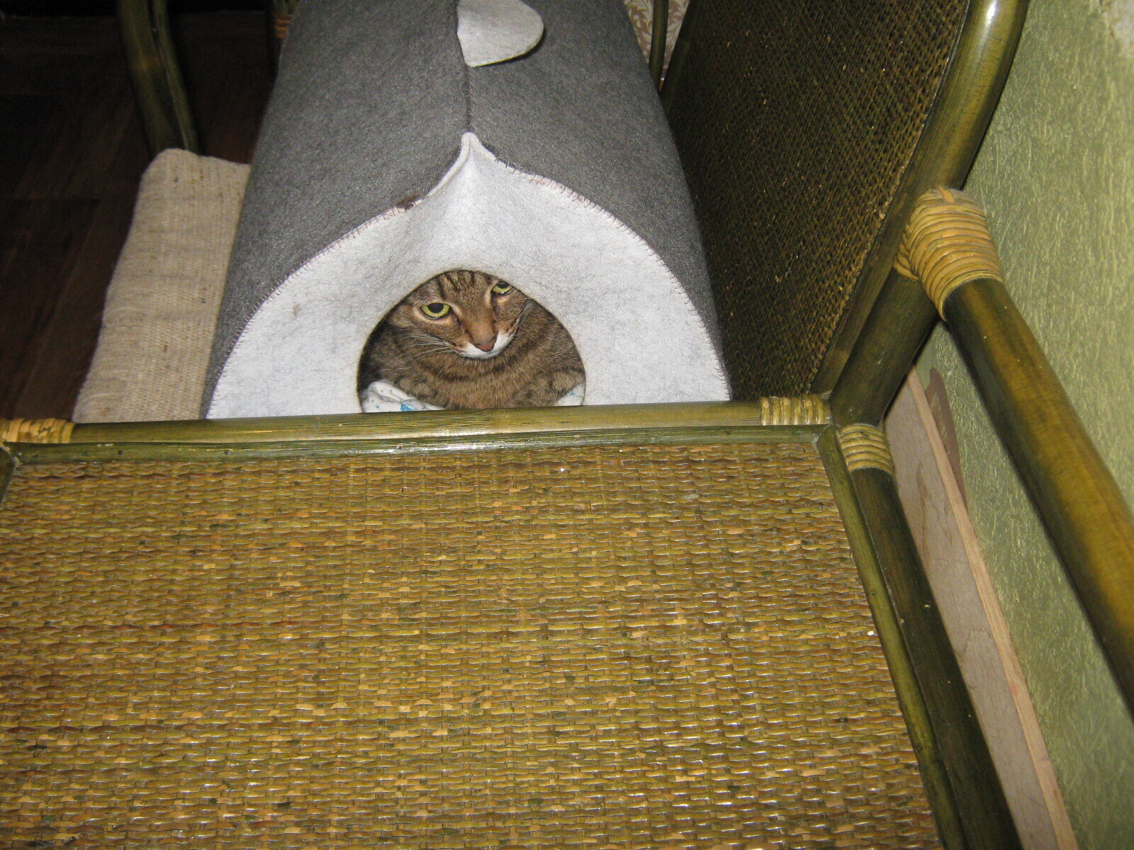 Лукерья, где ты будешь спать послезавтра?