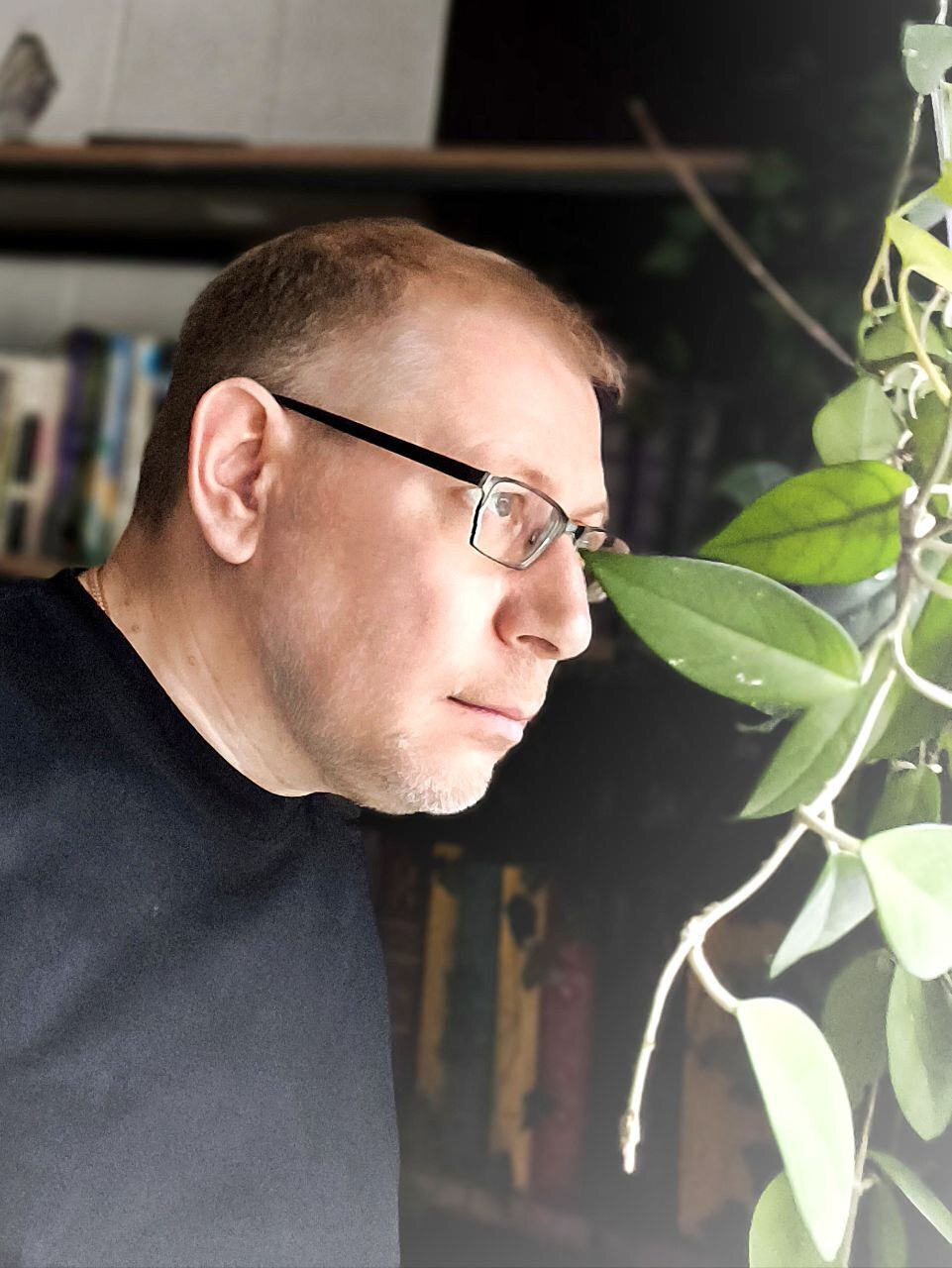 Одна стратегия одного конфликта при разделе имущества