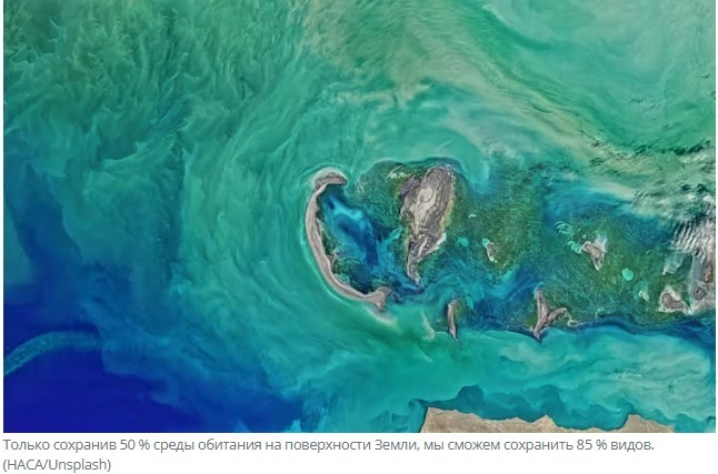 Эксперт предупреждает: возможно, мы становимся свидетелями гибели природы