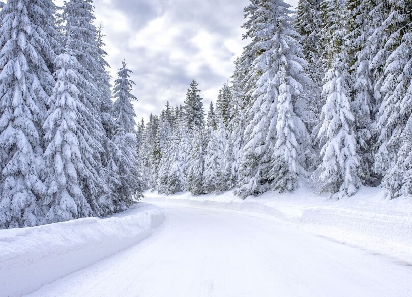 Новое в законодательстве России с 1 декабря 2025 года