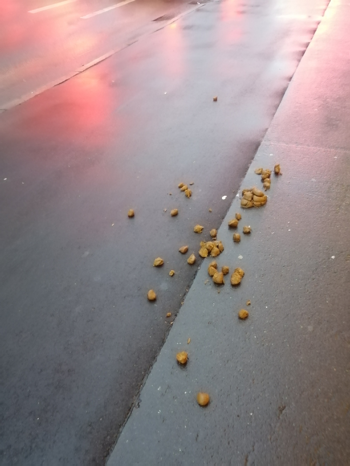 Золушка не успела. Валялось только г...