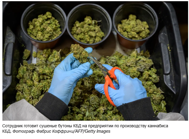 Medicare проведет тестирование программы, которая сделает лечение КБД доступным для пожилых людей