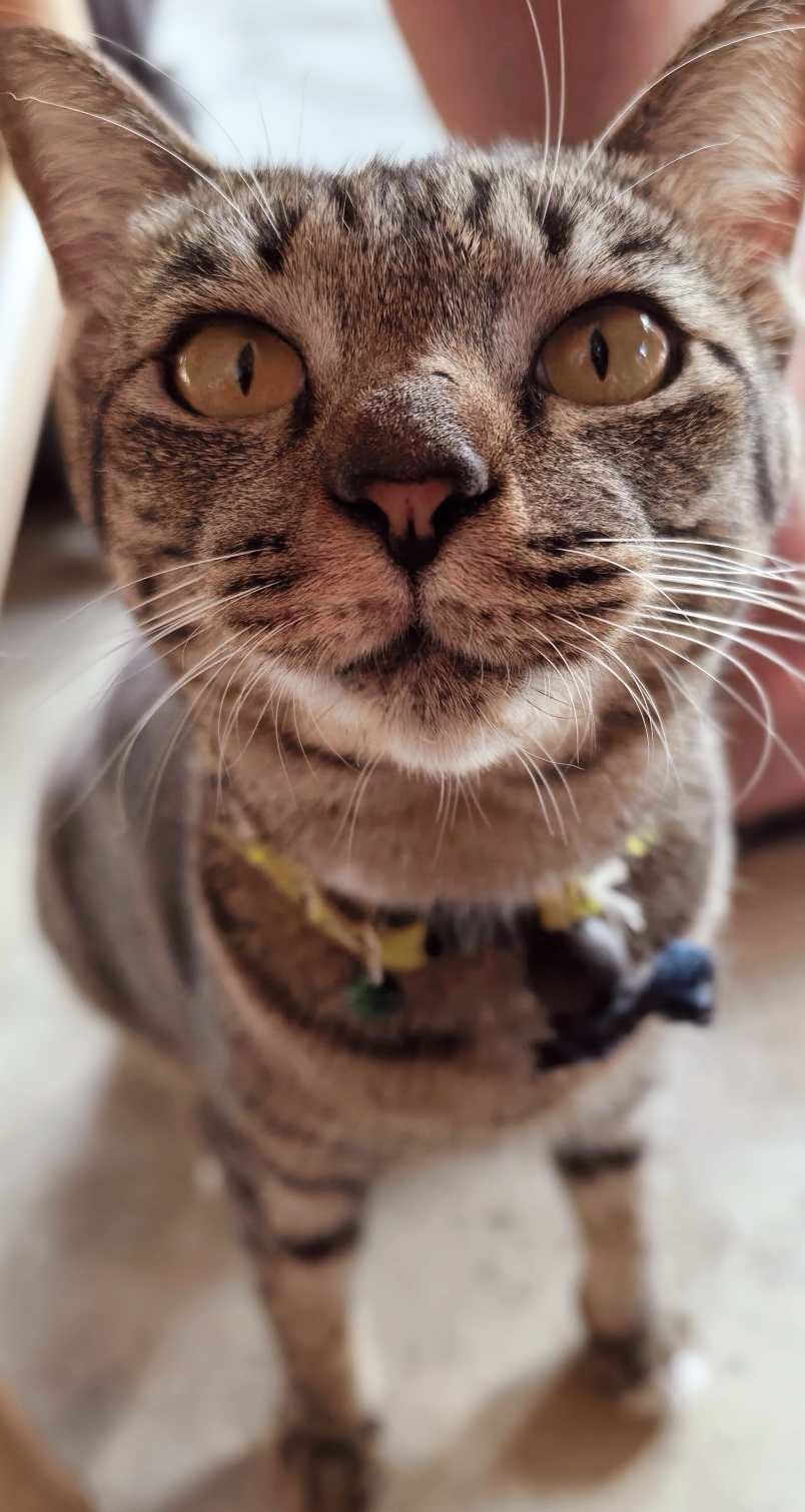 Есть ли смысл подавать иск в суд на ветеринарную клинику?