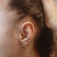 1764509711075.jpg