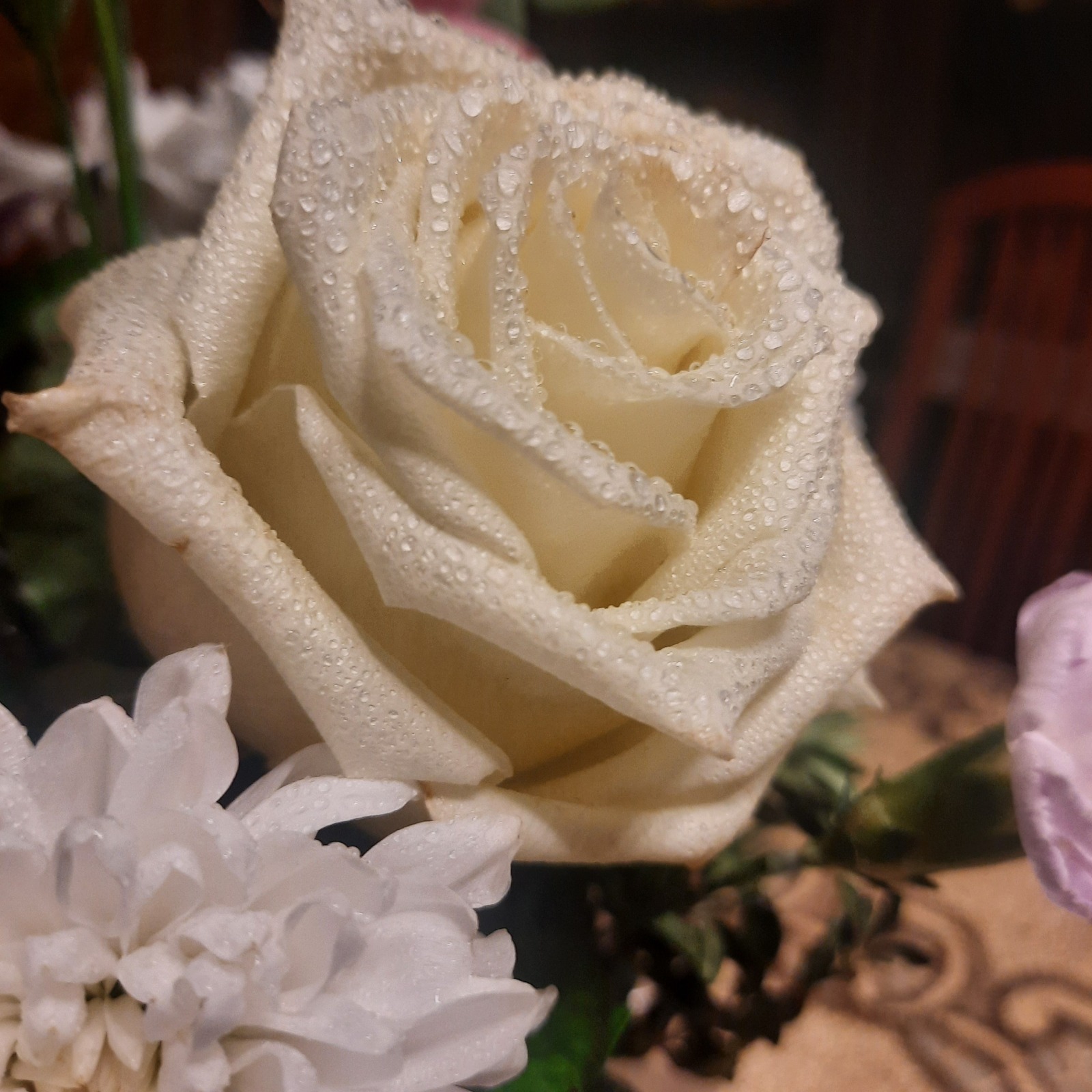 Выгодный ноябрь. Мой кешбек по Альфа карте в ноябре.