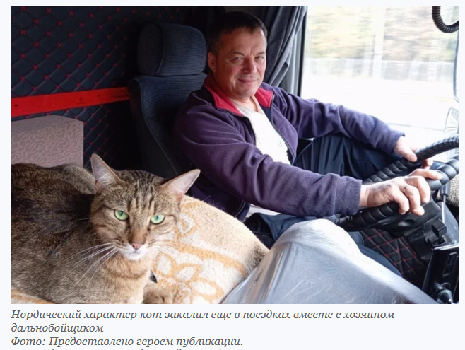 Чудесное спасение кота, проведшего шесть суток без корма и еды в поезде