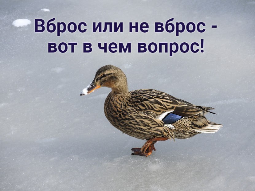 Песков подтвердил достоверность слов Рубио о ключевом пункте разногласий по мирному плану РФ и Украины