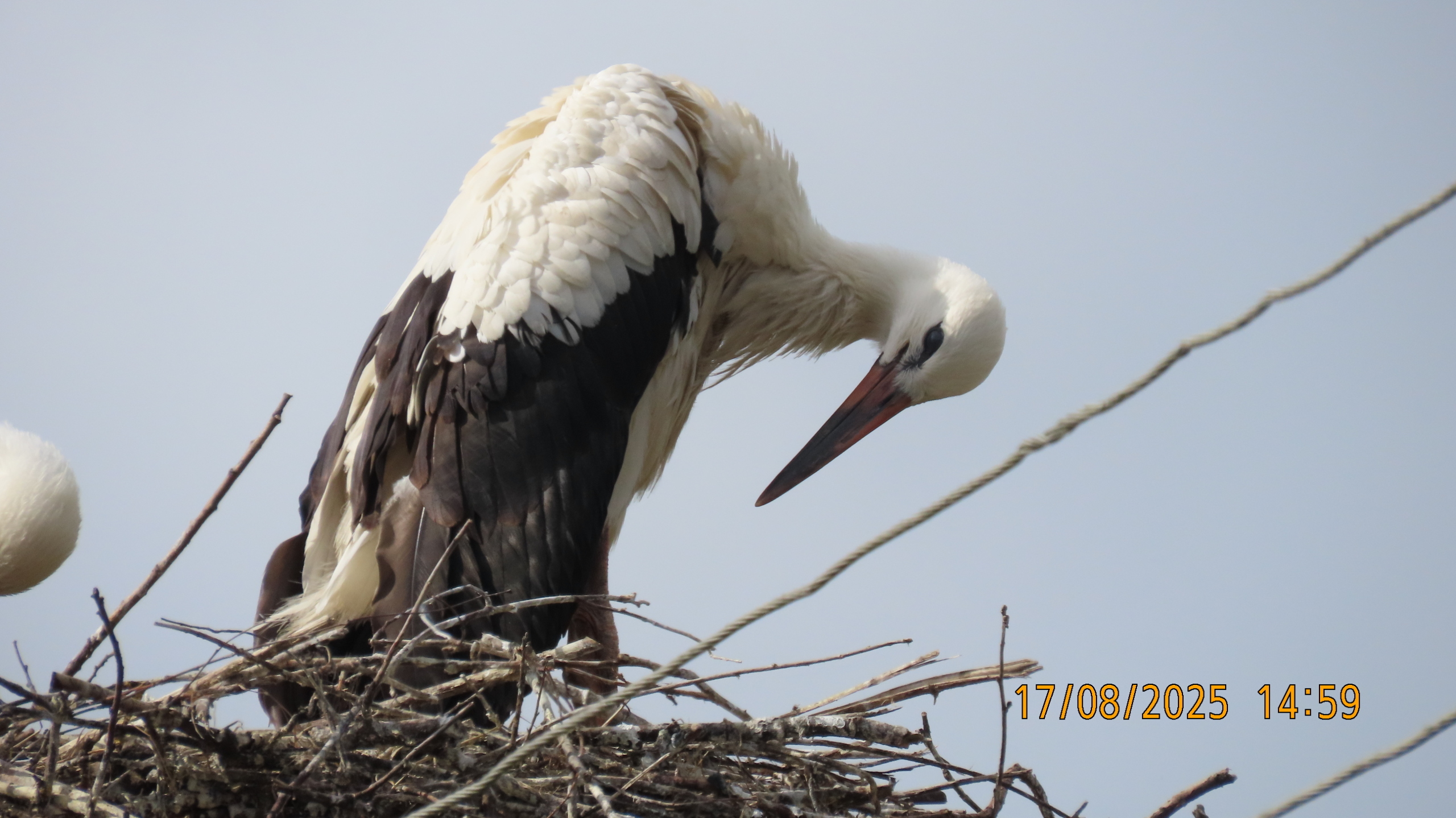 Огонь! Вода! И, наконец, Медные трубы.
