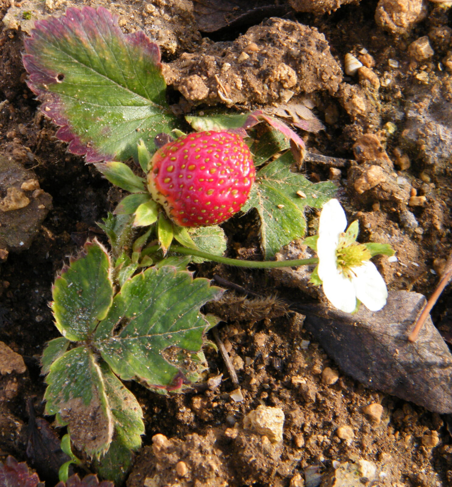 Просто не началась зима...