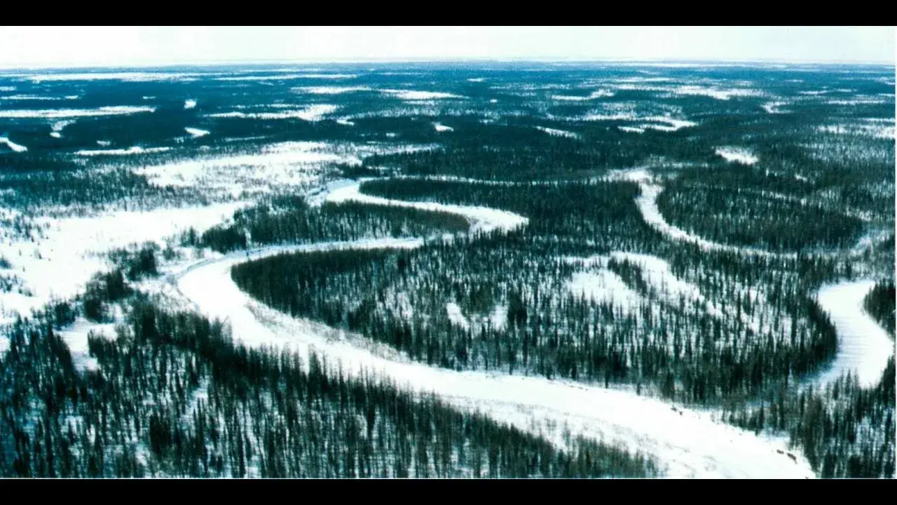 Природные богатства Сибири: нефть, газ и лесные массивы